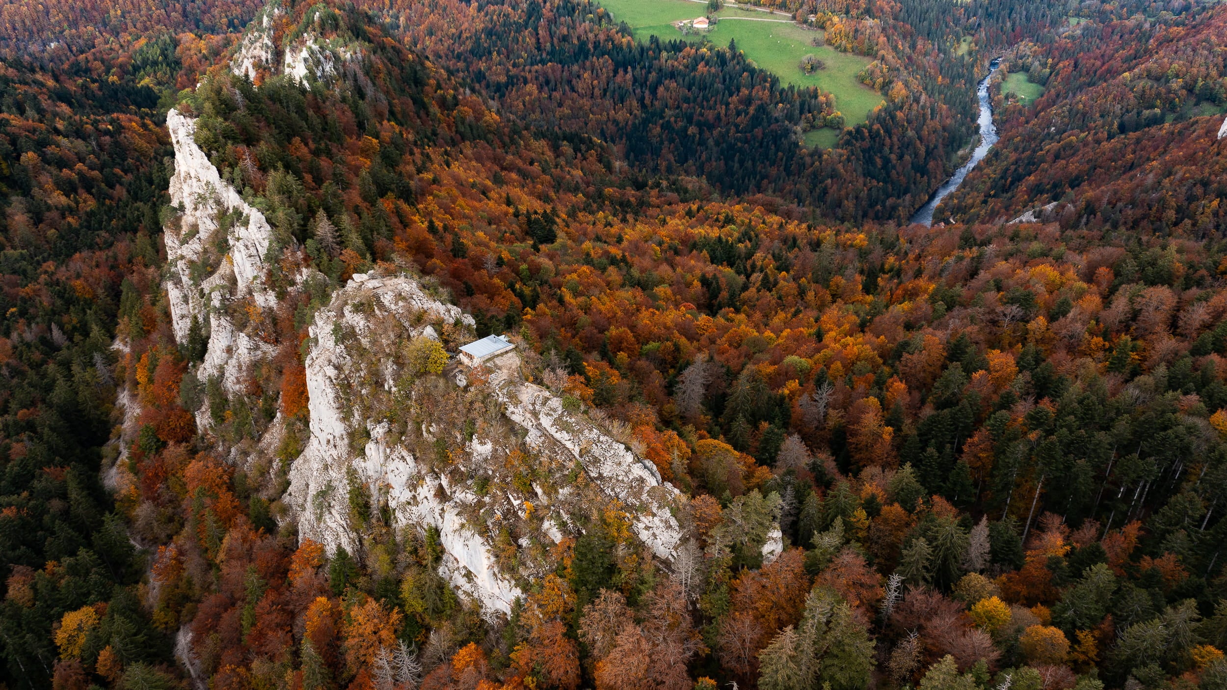 Franches-Montagnes