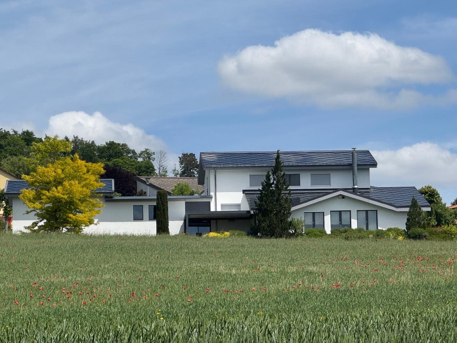 Villa d'exception de 8.5 pièces à Porrentruy - photo 1