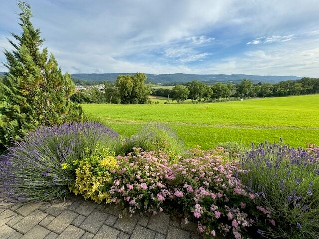 Villa d'exception de 8.5 pièces à Porrentruy - photo 4