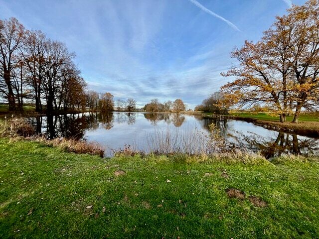 Deux étangs à vendre à Ueberstrass en France - photo 2