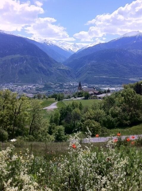 Grand terrain de 2 parcelles de 1'841 m² à vendre à Mollens - photo 1